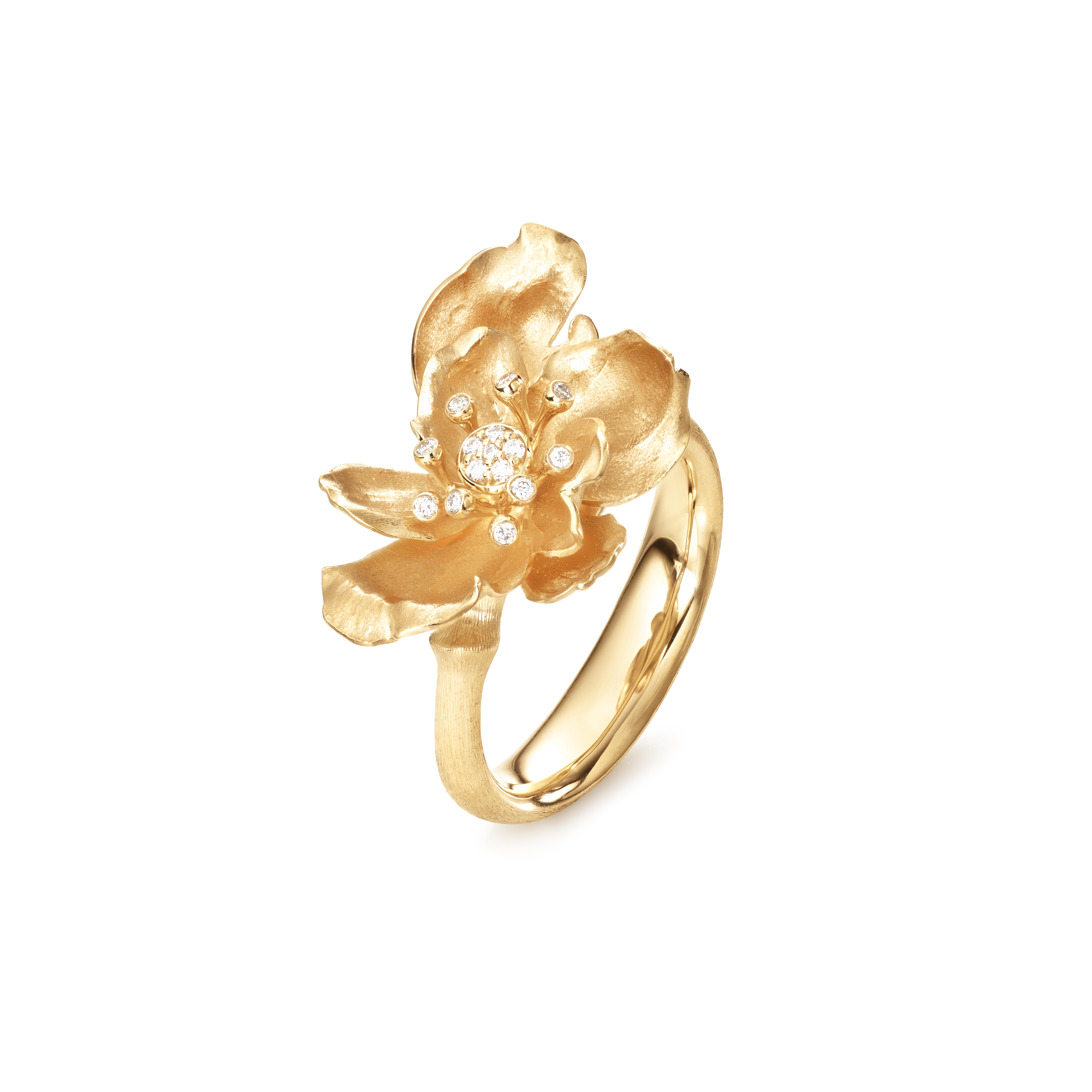 OLE LYNGGAARD COPENHAGEN - Wild Rose ring - Guld - A3219-401 53
