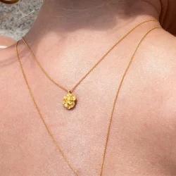 Flora Danica: Persille Vedhng - Halskde - forgyldt Slv - PAR-Ne-G