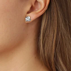 Flora Danica: Firklver restikkere - reringe - FLC-StPc-S