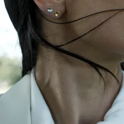 Flora Danica: Forglemmigej Sm restikkere - reringe - slv - FMN-StPc-S