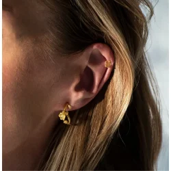 Flora Danica: Forglemmigej Hoop reringe - Forgyldt slv - FMN-HoPc-G