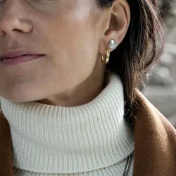 Flora Danica: Firklver restikkere - reringe - FLC-StPc-S