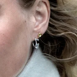 Flora Danica: Forglemmigej Hoop reringe - slv - FMN-HoPc-S