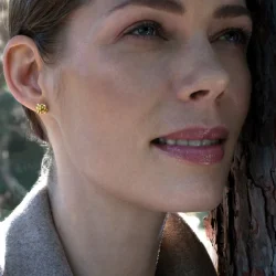 Flora Danica: Dild restikkere - reringe - forgyldt slv - DF-Stpc-G