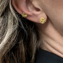 Flora Danica: Persille restikkere - reringe - forgyldt slv - PAR-stpc-G