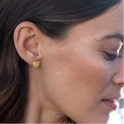 Flora Danica: Persille restikkere - reringe - forgyldt slv - PAR-stpc-G