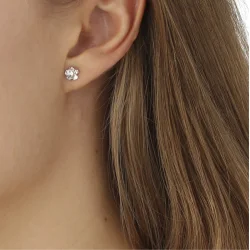 Flora Danica: Forglemmigej Sm restikkere - reringe - slv - FMN-StPc-S