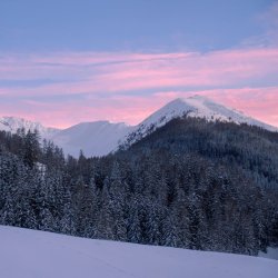 Alexander Lynggaard: ColorUp Davos armbnd (8mm) - C10350