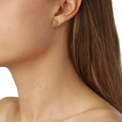 Flora Danica: Dild restikkere - reringe - forgyldt slv - DF-Stpc-G