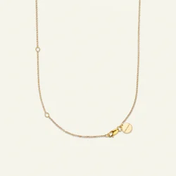 Flora Danica: Rose Vedh�ng - Halsk�de - forgyldt S�lv - Diamant - ROS-NE-G