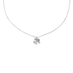 Flora Danica: Firklver vedhng - justerbar kde - Slv - FLC-Ne-S