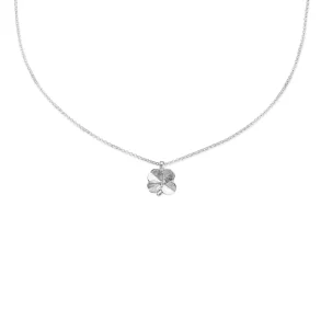 Flora Danica: Firklver vedhng - justerbar kde - Slv - FLC-Ne-S