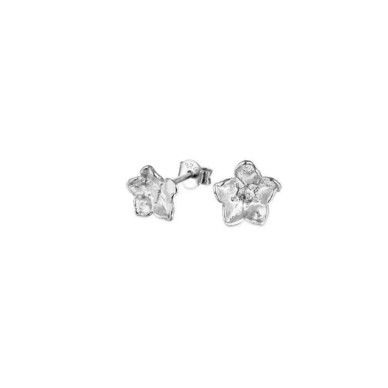 Flora Danica: Forglemmigej - restikkere - reringe - slv - FMN-StPc-Medium-S