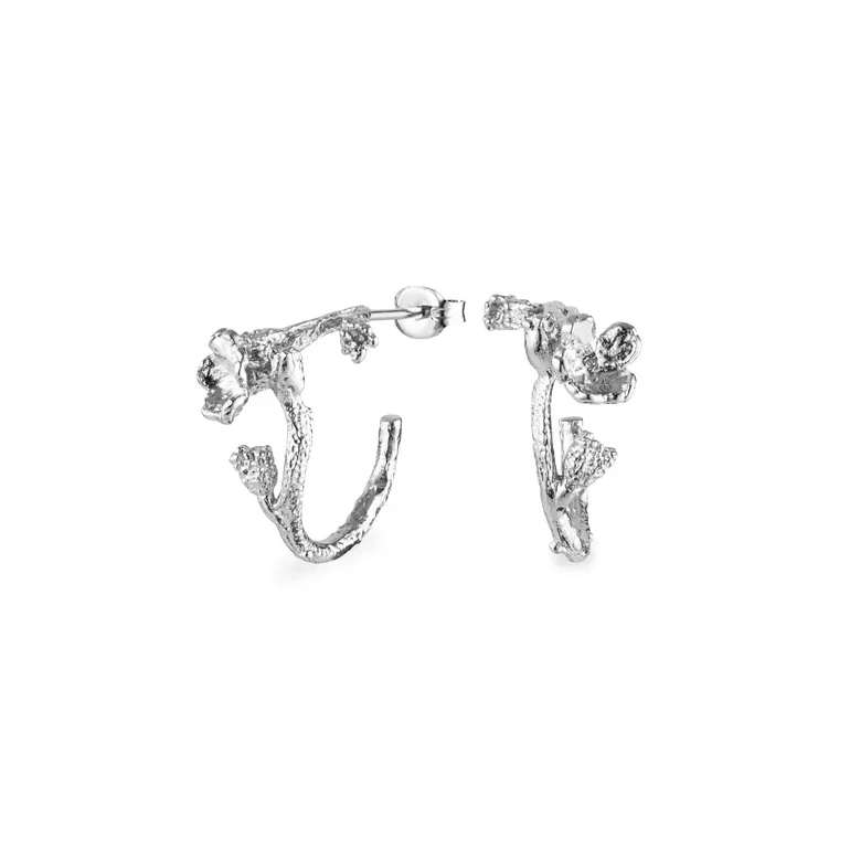 Flora Danica: Forglemmigej Hoop reringe - slv - FMN-HoPc-S