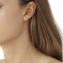 Flora Danica: Forglemmigej Sm restikkere - reringe - slv - FMN-StPc-S