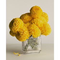 Georg Jensen: BERNADOTTE Oval vase - 10020607