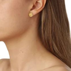 Flora Danica: Persille restikkere - reringe - forgyldt slv - PAR-stpc-G