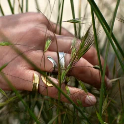 Flora Danica: Grs Statement  ring - forgyldt slv - GR-StRi-G