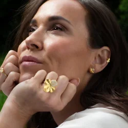 Flora Danica: Firklver Pav restikkere - reringe - forgyldt slv - FLC-StPc-G-Pave