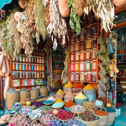 Alexander Lynggaard: ColorUp Marrakech armbnd (8mm) - C10430